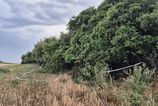 Nalez kostrovych pozostatkov v obci Velke Ripnany ako vrazdu vysetruju