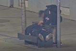 Kamera v Bratislave zaznamenala zlodeja pri cine Mestsky policajti tvrdia ze okradnutie spiaceho sledovali v priamom prenose